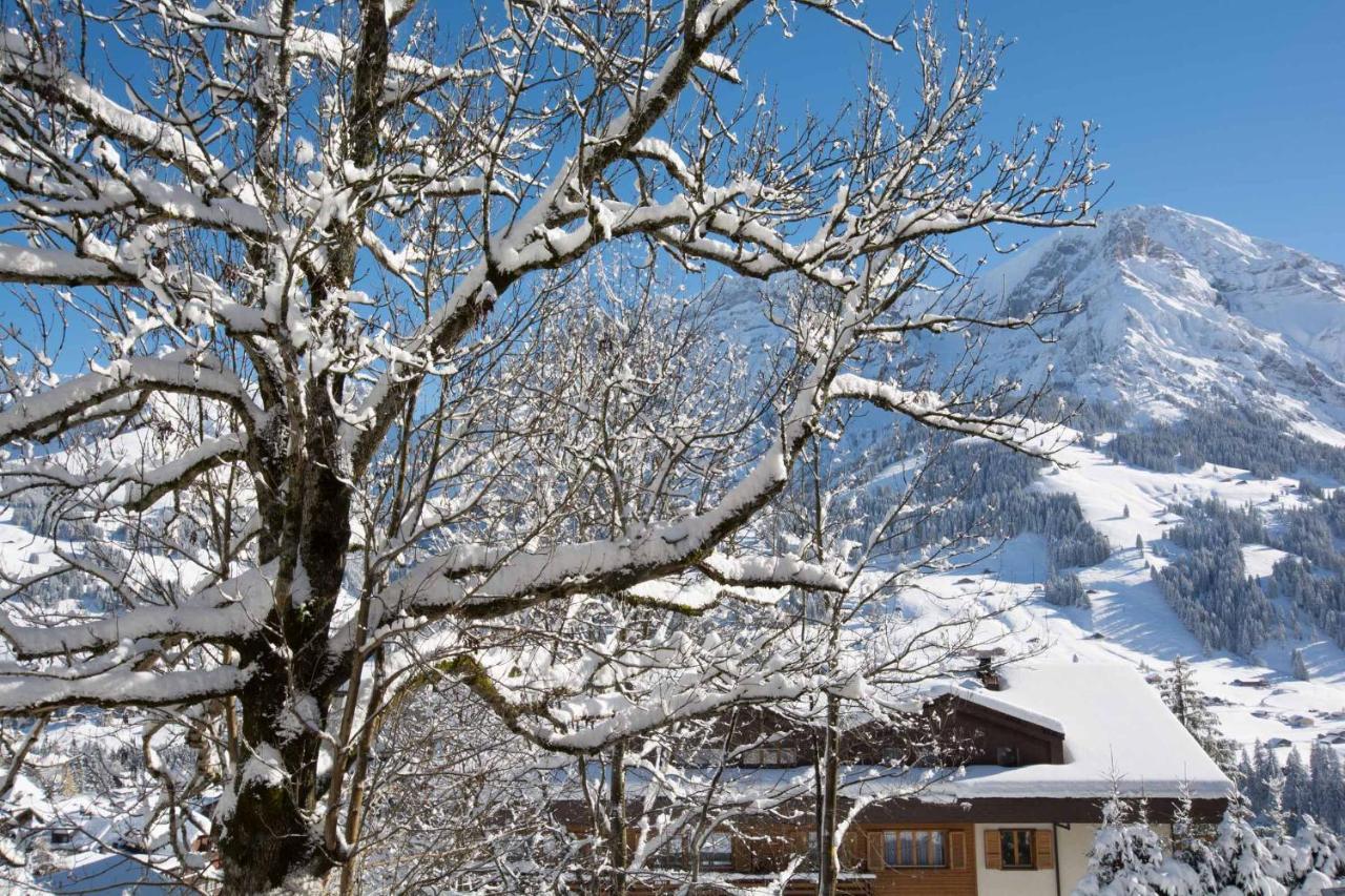 Ferienwohnung Senggi Adelboden Buitenkant foto